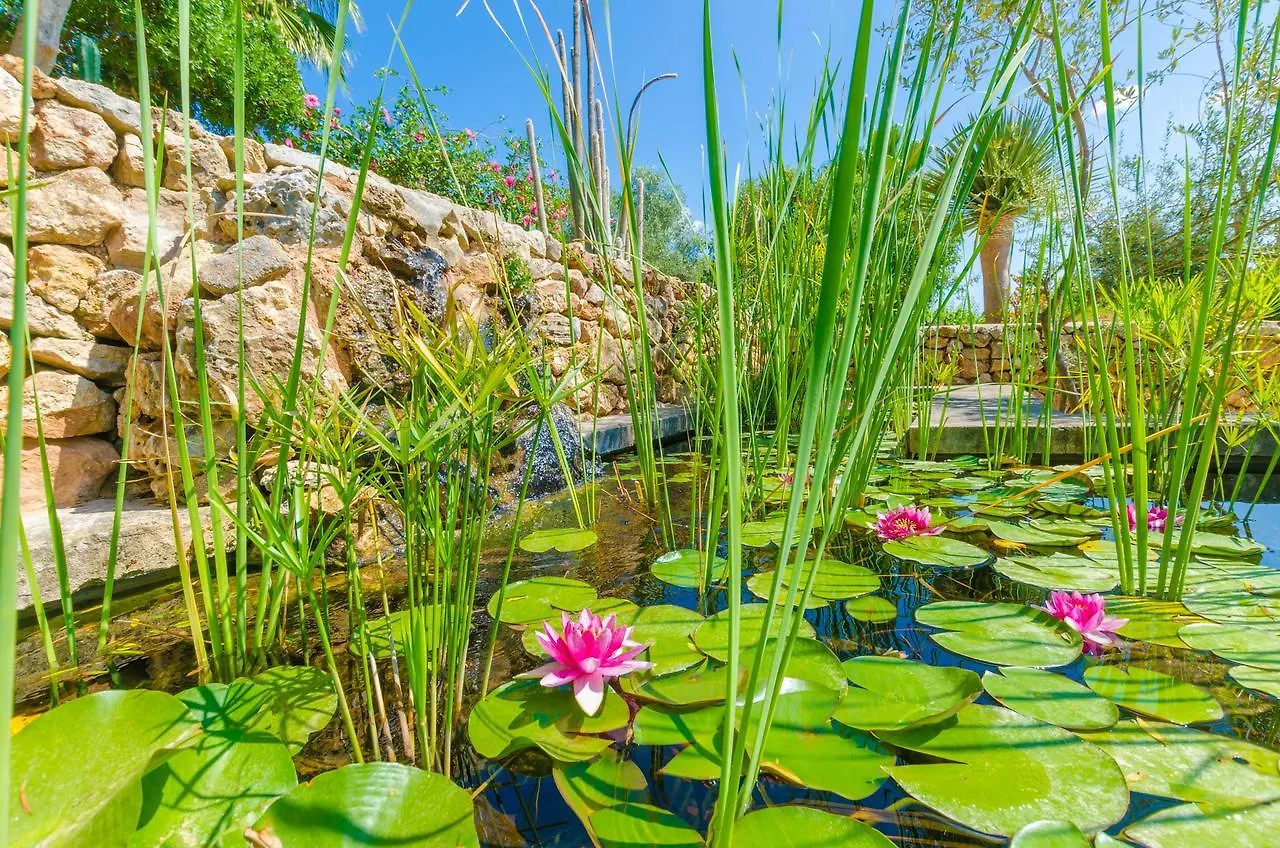 Sa Mata Grossa Villa