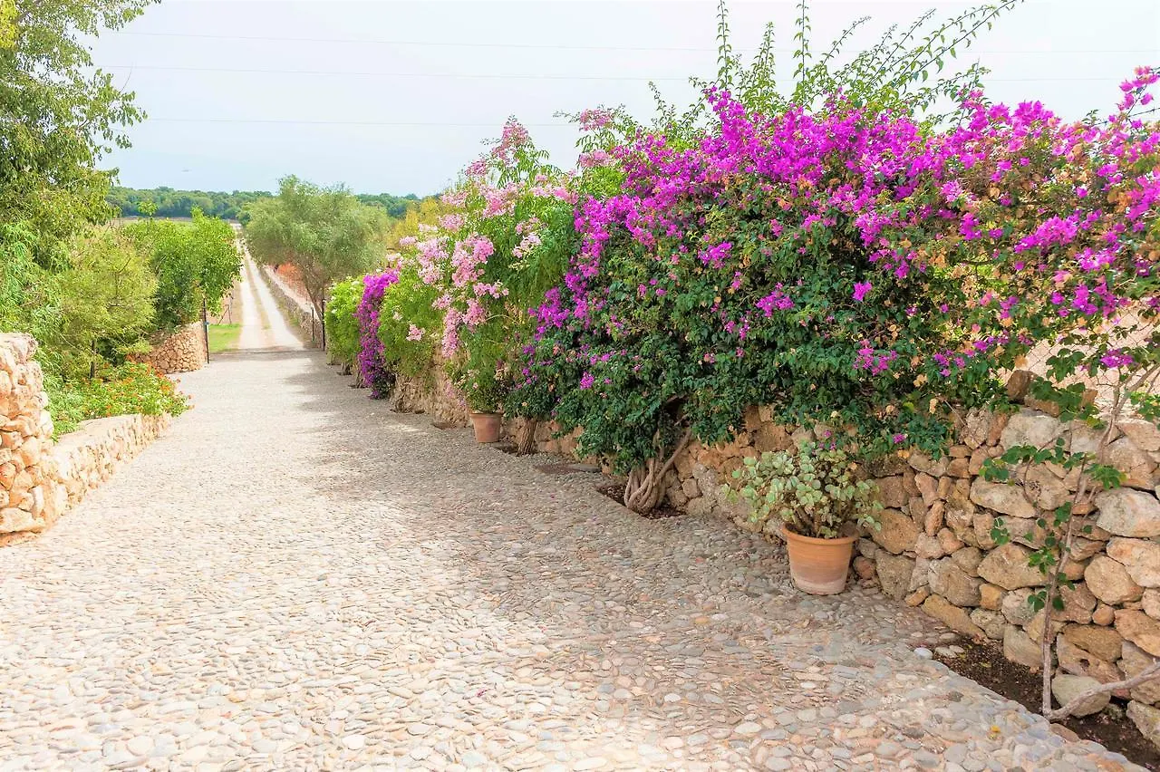 Sa Mata Grossa Villa Campanet Spanje